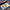 Richard Puzzle Game